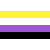 Nonbinary pride flag